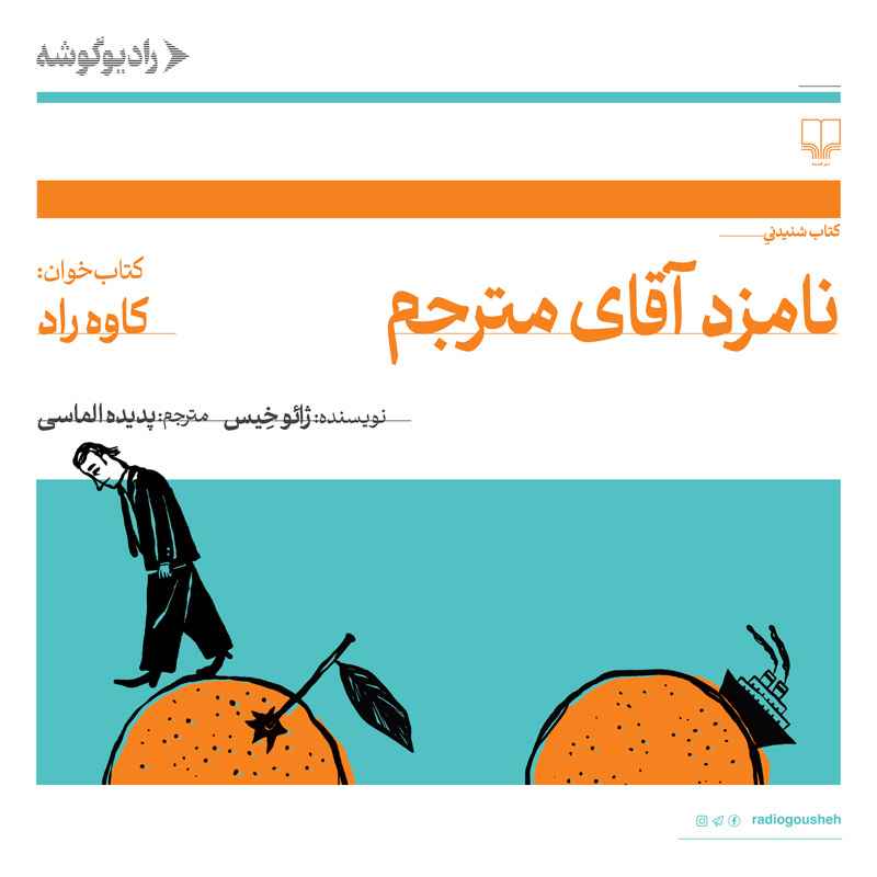 نامزد آقای مترجم