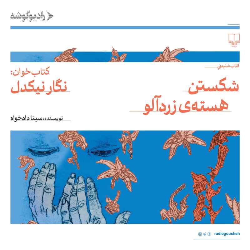 شکستن هستهی زردآلو