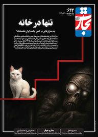 کتاب هفته نامه تجارت فردا شماره 613 گروه نویسندگان تجارت فردا تجارت فردا