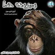 کتاب بوزینه ها نشر آوارسا - نسخه صوتی 