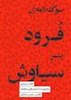 سوگ‌نامه‌ی فرود، پسر سیاوش جلد 20