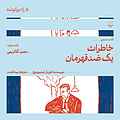 خاطرات یک ضد قهرمان