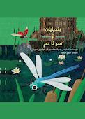 بندپایان از سر تا دم