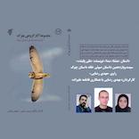 منشاء صدا