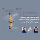 مفت سوزاندن