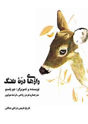 کتاب راز دره تنگ اثر جو پلسنو نشر شکوفه