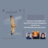 توکوفوبیا