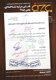 کتاب هفته نامه چلچراغ شماره 848 نشر چلچراغ -  