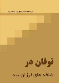 کتاب توفان در شاخه های لرزان بید اثر اختر تیموریان نشر آیسان نگار