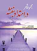 در امتداد بنفشه