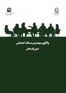 واکاوی مهمترین مسائل اجتماعی شهر رفسنجان جلد 36