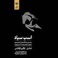 اسب سیاه