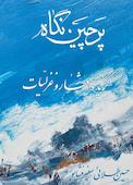 پرچین نگاه