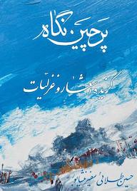 کتاب پرچین نگاه اثر حسین طلایی نشر بید