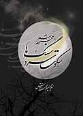 سکوت سرد سنگ ها