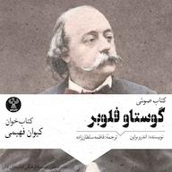 کتاب صوتی گوستاو فلوبر اندرو براون سفیر فرهنگ و هنر