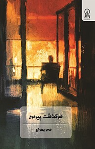 کتاب سرگذشت پیرمرد نشر زرین اندیشمند   