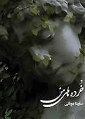 خرده‌های من