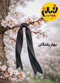 ماهنامه فیلم امروز شماره 61