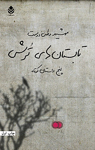 کتاب تابستان های ترش نشر قطره   