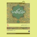 هزار و یک‌شب