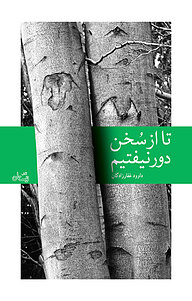 کتاب تا از سخن دور نیفتیم نشر انتشارات کتاب نیستان هنر   