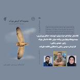 بیا باهم حرف بزنیم