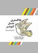 خاکستری مثل کبوتر
