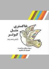 کتاب خاکستری مثل کبوتر نشر شکوفه   