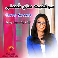 کتاب خلاصه کتاب موفقیت های شغلی نشر شادن پژواک -  