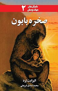 کتاب صخره بابون نشر دگرساز   