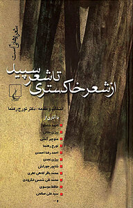 کتاب از شعرِ خاکستری تا شعرِ سپید نشر گروه انتشاراتی ققنوس   