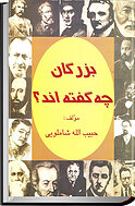 بزرگان چه گفته اند؟