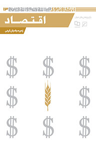کتاب اقتصاد جلد 13 نشر انتشارات کانون اندیشه جوان   