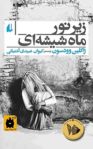 کتاب زیر نور ماه شیشه ای نشر افق   