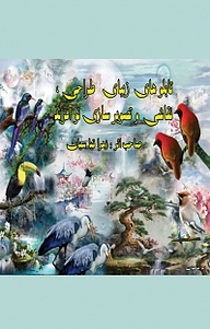 کتاب تابلوهای زیبای طراحی، نقاشی و تصویرسازی نوآفرید نشر کنکاش   