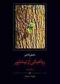 رباعیاتی از نیشابور