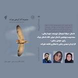 سبابه استیصال