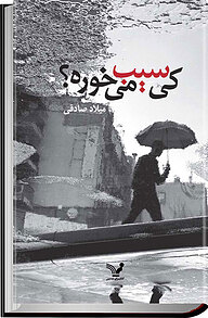 کتاب کی سیب می خوره؟ نشر انتشارات کتابسرای تندیس   