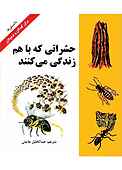 حشراتی که باهم زندگی می‌کنند