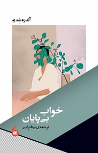 کتاب خواب بی پایان نشر مانیاهنر   