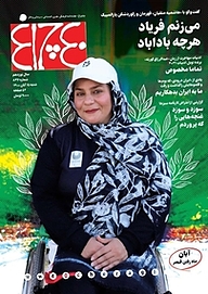 کتاب هفته نامه چلچراغ شماره 836 نشر چلچراغ -  