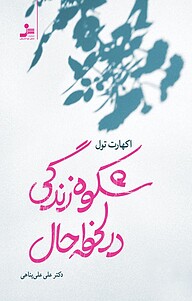 شکوه زندگی در لحظه حال