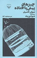 چیزهای پیش پاافتاده