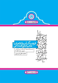 فرهنگ اصطلاحات عامیانه ی همدانی جلد 2