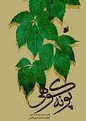 پونه کوهی