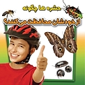 حشره ها چگونه از خودشان محافظت می کنند؟