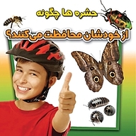 کتاب حشره ها چگونه از خودشان محافظت می کنند؟ نشر انتشارات شیما   