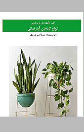 طرز نگهداری و پرورش انواع گیاهان آپارتمانی