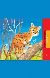 کتاب این کیه و چه شکلیه؟ نشر انتشارات پیدایش   